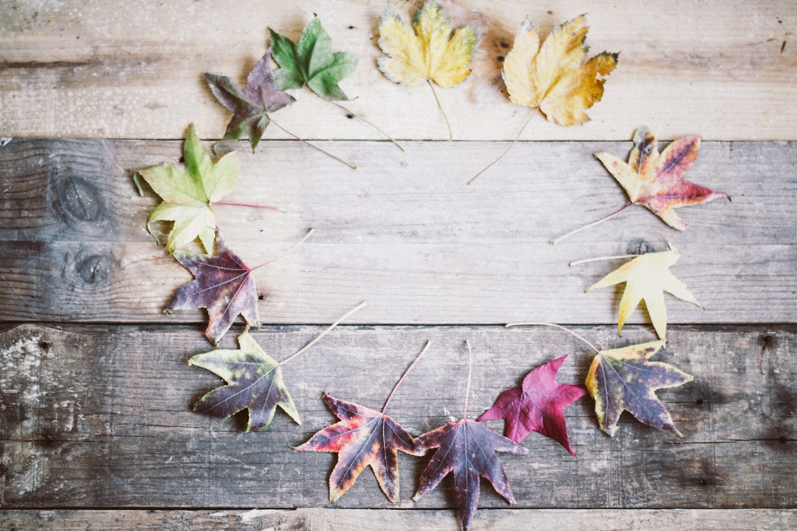 Reflexiones de otoño