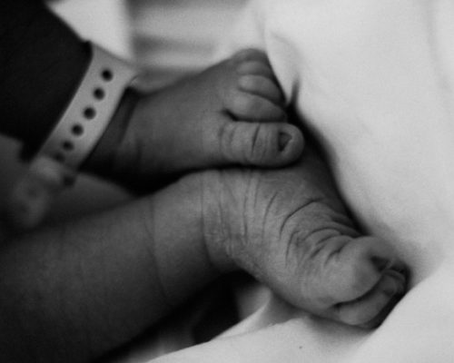 Fotografías a un bebé recién nacido: Leo